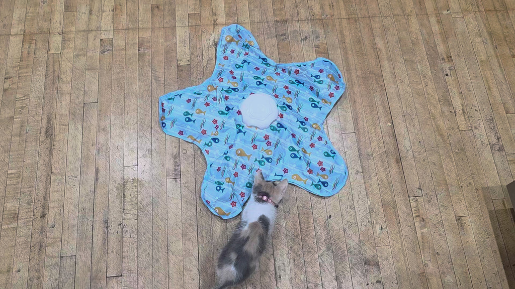 Interactive Rechargeable Cat Toy for Endless Play