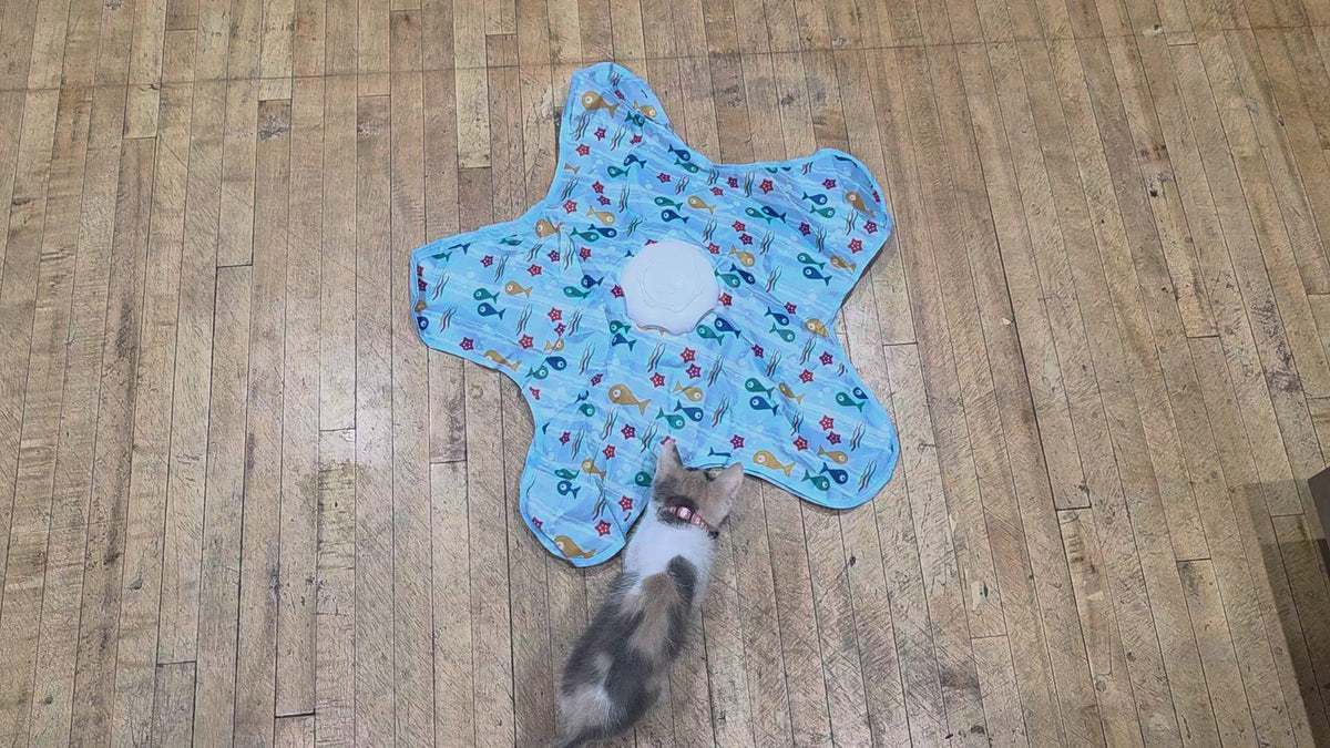 Interactive Rechargeable Cat Toy for Endless Play