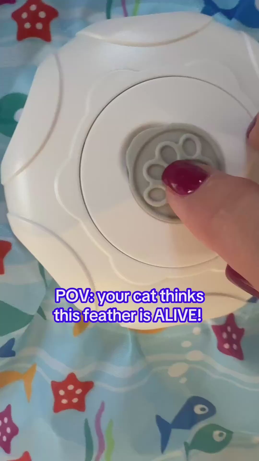 Interactive Rechargeable Cat Toy for Endless Play